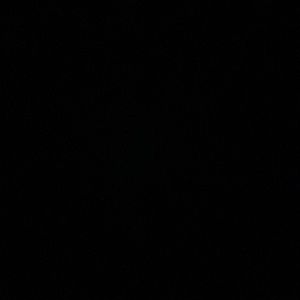 Meet your Posher, Jayden